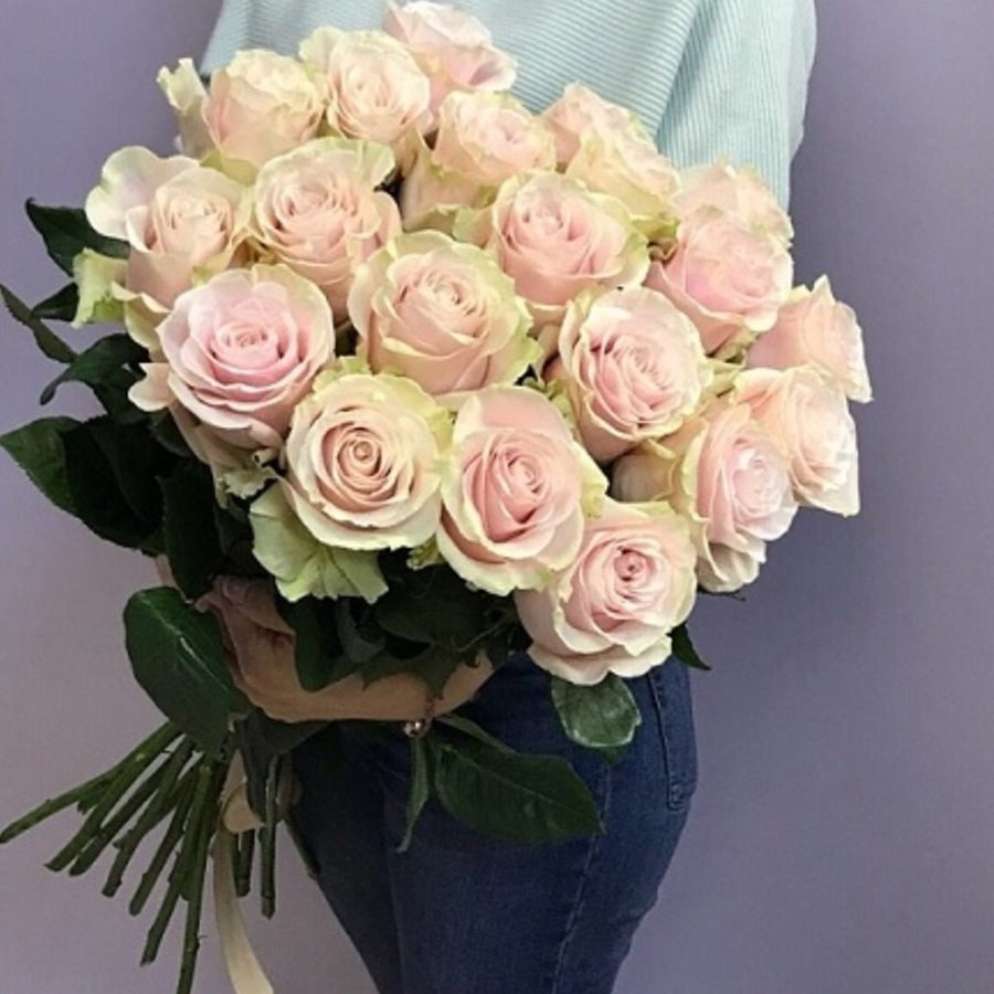 21 нежно-розовая роза  эквадор