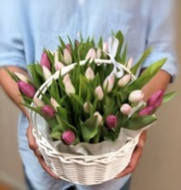 нежные тюльпаны в корзине